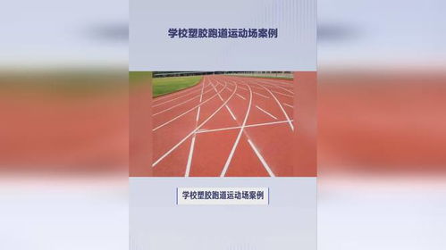 學(xué)校塑膠跑道運動場案例
