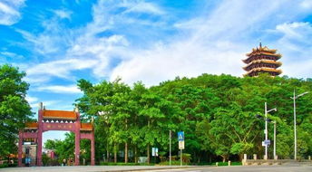 2019東莞 賣瘋啦 隆重來襲 開發(fā)商自己都驚訝了