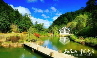 就差你了 中國虎園梅花山音樂啤酒節自駕二日游招募中