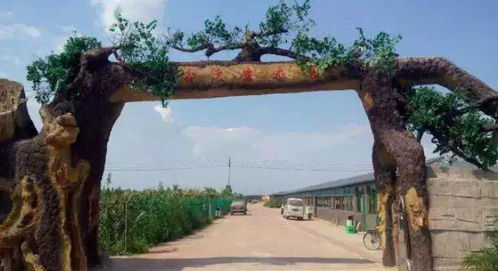 什么 僅需1元即可搶購這個灤州生態園的綠色生菜一大顆,這里還有菜地可認養